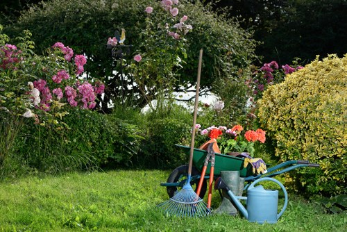 Customer complaint review for tree surgery service