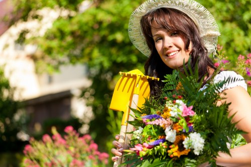 Reviewing and improving tree surgery complaints procedure